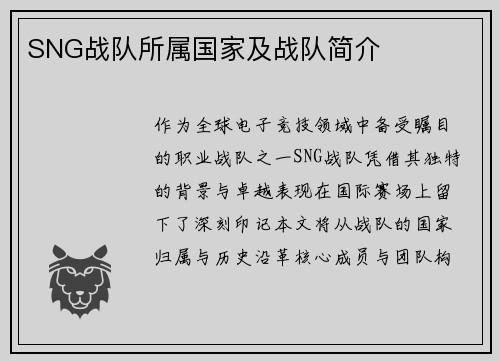 SNG战队所属国家及战队简介