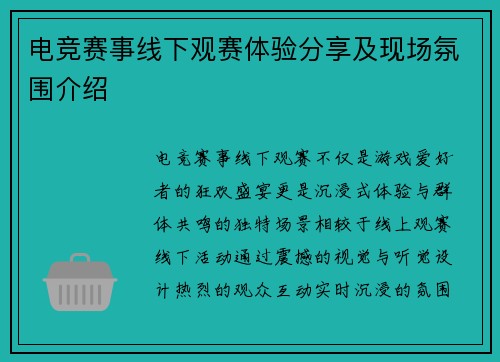 电竞赛事线下观赛体验分享及现场氛围介绍